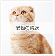異物の誤飲